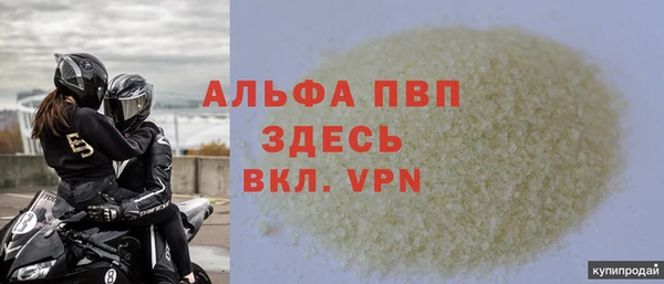 стаф Алексин