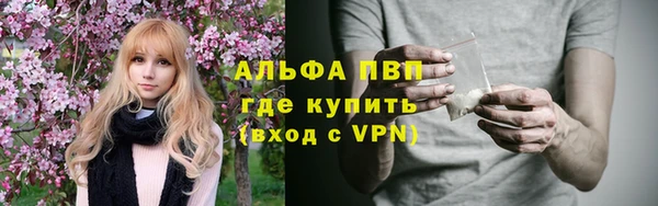 стаф Алексин