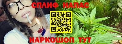 меф Кингисепп