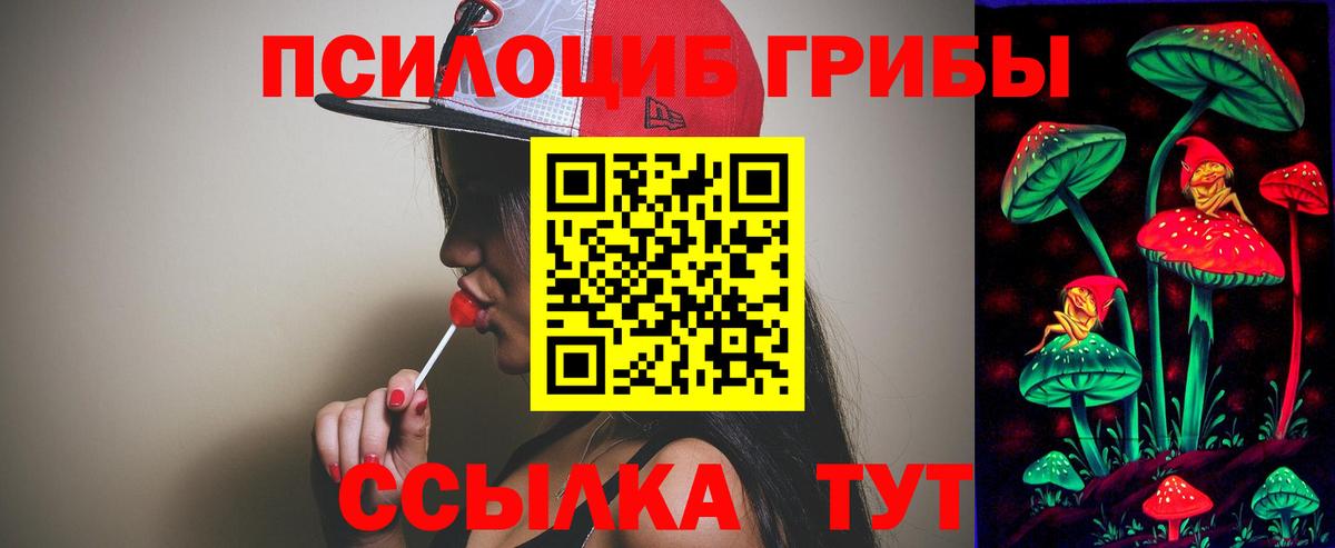 Кызыл  Галлюциногенные грибы Cubensis  Вход с VPN 