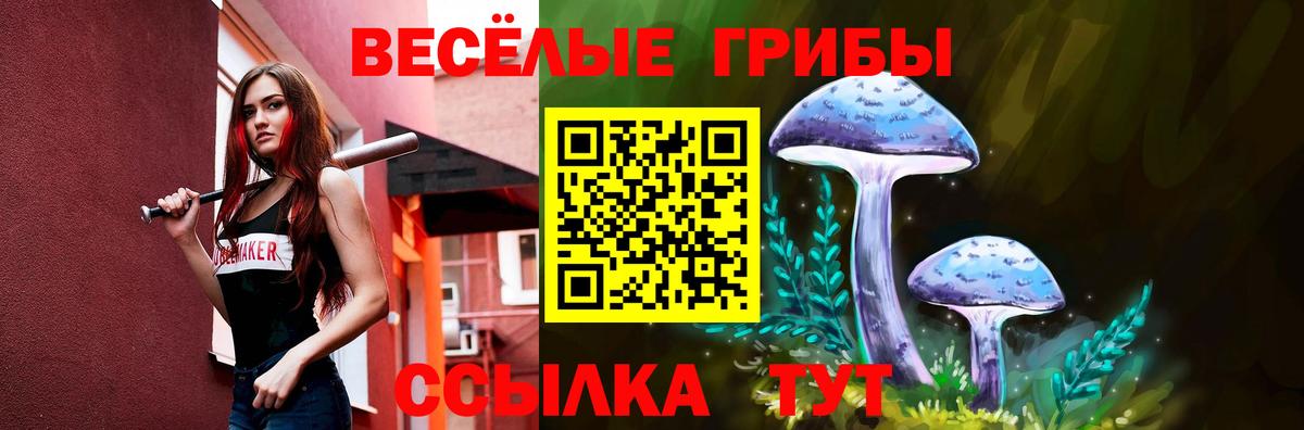 Галлюциногенные грибы Psilocybine cubensis Кызыл