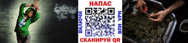Конопля сатива  купить наркоту  Кызыл 